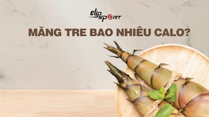 Măng tre bao nhiêu calo? Ăn nhiều măng có mập không? Công dụng