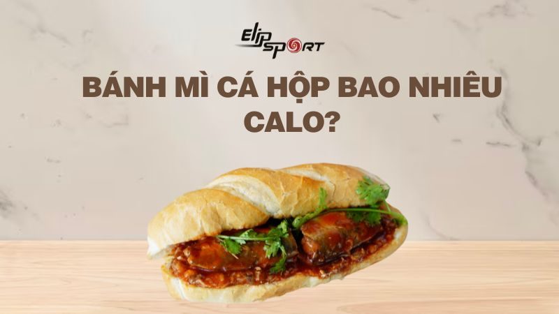 Bánh mì cá hộp bao nhiêu calo? Ăn nhiều làm bạn tăng cân không?