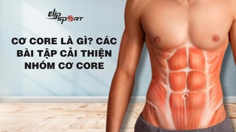 Cơ core là gì? Các bài tập cải thiện nhóm cơ core hiệu quả