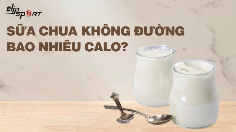 1 hộp sữa chua không đường bao nhiêu calo? Cách ăn sữa chua giảm cân