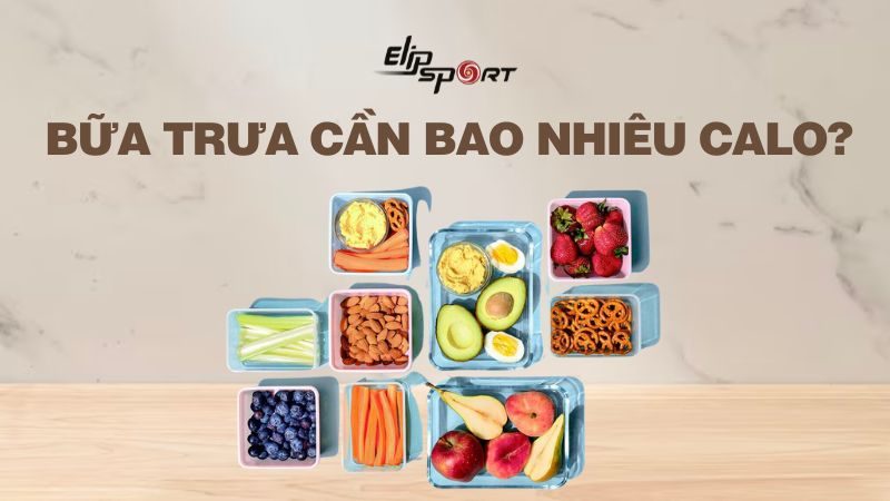 Bữa trưa cần bao nhiêu calo nạp vào cơ thể để giảm cân hiệu quả?