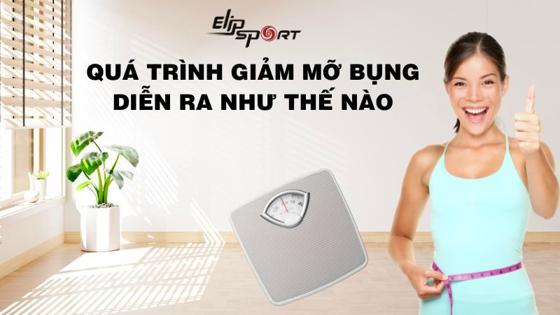 Quá trình giảm mỡ bụng diễn ra như thế nào?