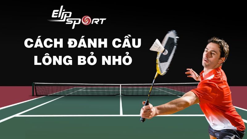  Bỏ nhỏ cầu lông là gì? 4 kỹ thuật bỏ nhỏ cầu lông bạn nên biết