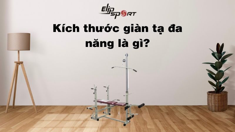 Kích thước giàn tạ đa năng là gì? Cách chọn kích thước phù hợp