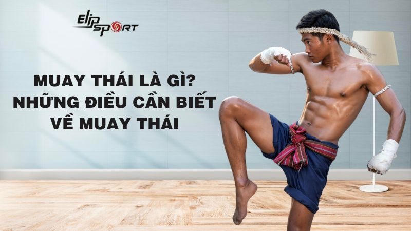 Muay Thái là gì? Những điều cần biết về Muay Thái