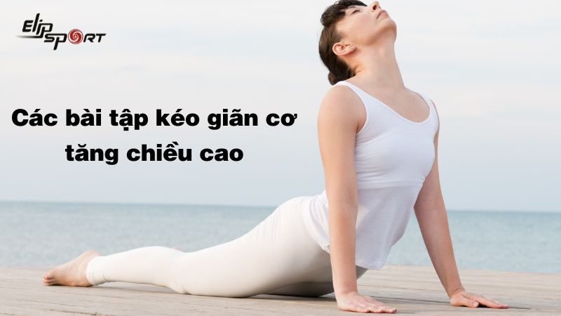 Các bài tập kéo giãn cơ tăng chiều cao hiệu quả tại nhà