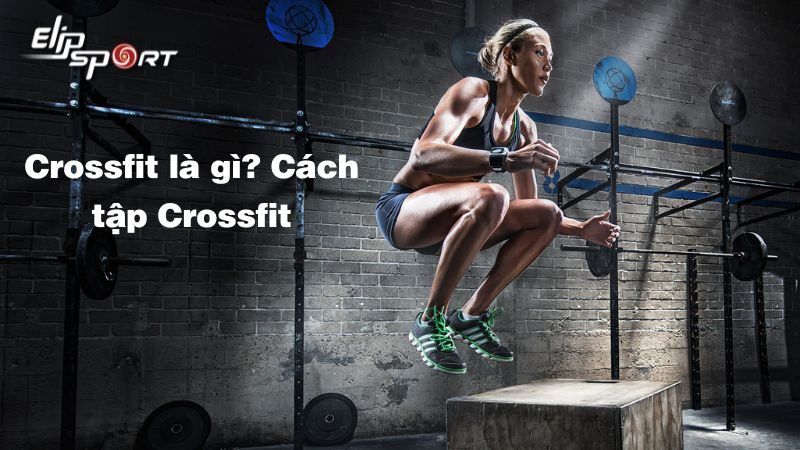 Crossfit là gì? Những điều bạn cần biết trước khi tập Crossfit