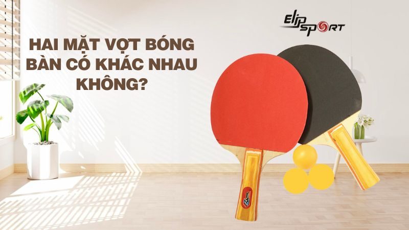 Hai mặt vợt bóng bàn có khác nhau không? Cách chọn mua vợt bóng bàn phù hợp