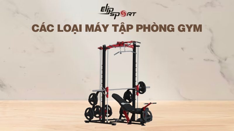 Các loại máy tập phòng gym và công dụng khi tập bạn nên biết