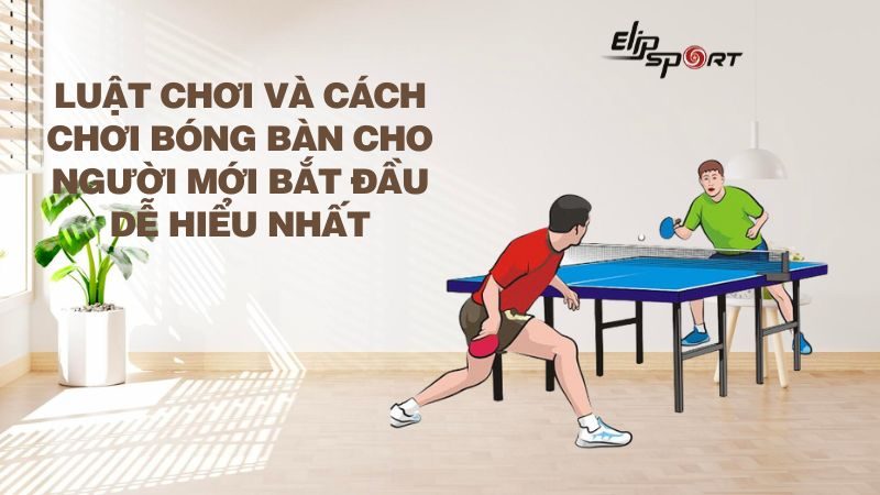 Luật chơi và cách chơi bóng bàn cho người mới bắt đầu dễ hiểu nhất