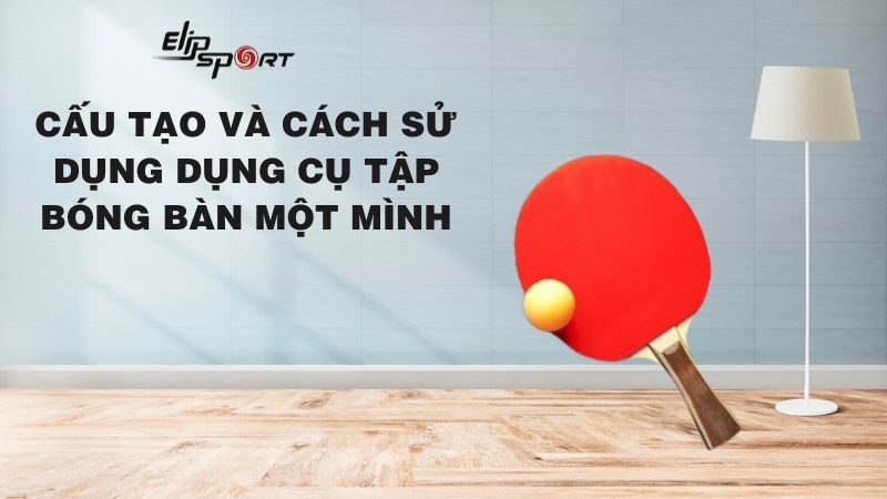 Cấu tạo dụng cụ và hướng dẫn cách tập bóng bàn một mình đơn giản