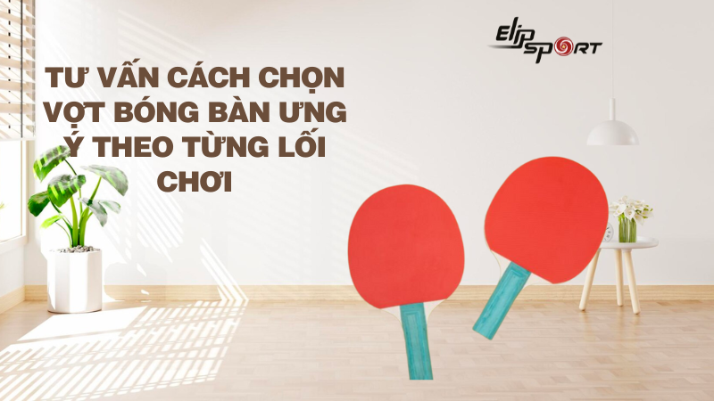 Tư vấn cách chọn vợt bóng bàn ưng ý theo từng lối chơi