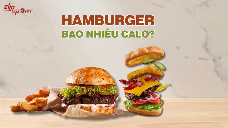 Hamburger bao nhiêu calo? Ăn có béo không? Cách ăn ít tăng cân