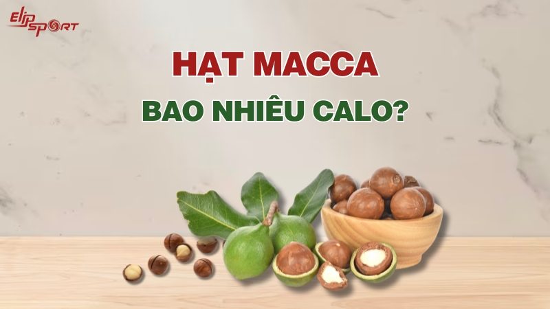 100g hạt macca bao nhiêu calo? Ăn có béo không? Cách ăn giảm cân