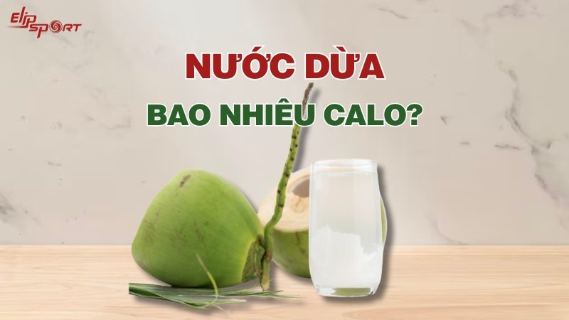 Nước dừa bao nhiêu calo? Uống có béo không? Lưu ý khi uống nước dừa