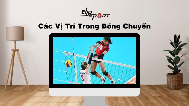 Tên các vị trí trong bóng chuyền, ý nghĩa và các đội hình chiến thuật thường thấy