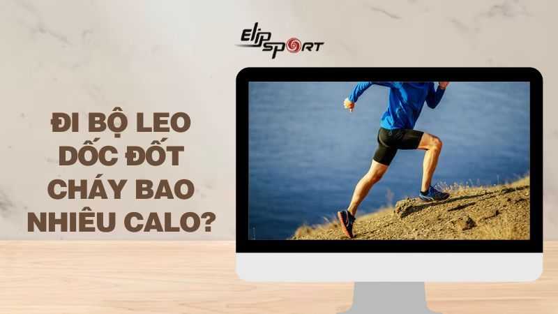 Đi bộ leo dốc đốt cháy bao nhiêu calo? Tác dụng của đi bộ leo dốc 