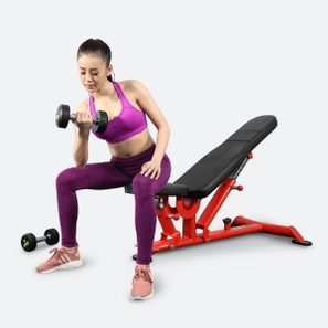 Ghế khởi động đa năng Elip YL37 New