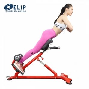 Ghế tập lưng Elip YL33